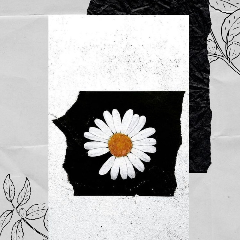 Meet your Posher, Esmeralda